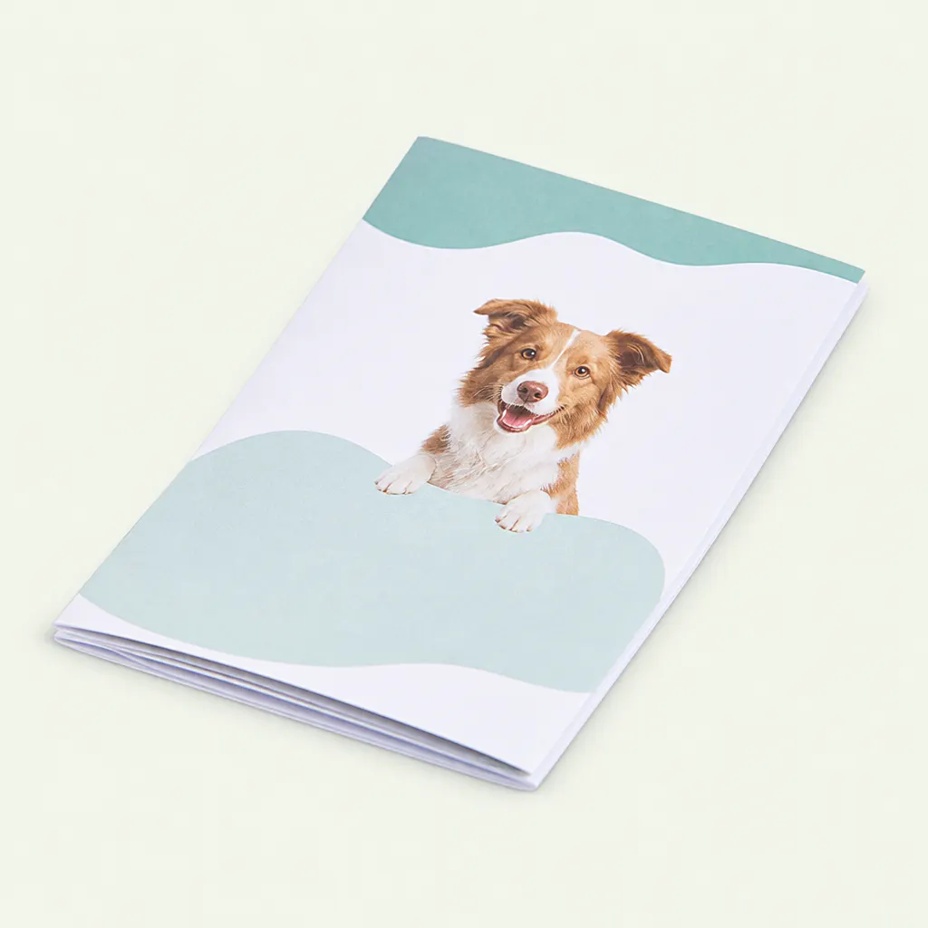 Free bath-time care guide
