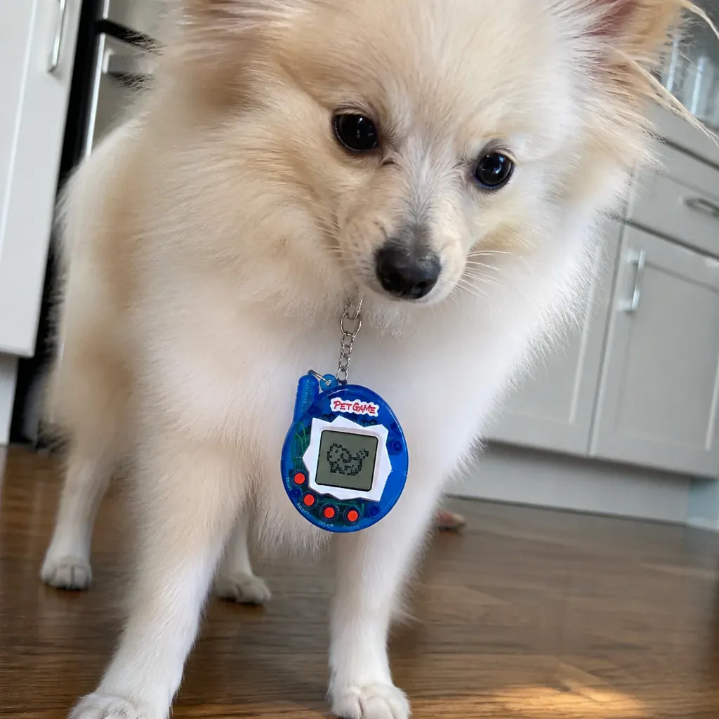 Mia's Pet